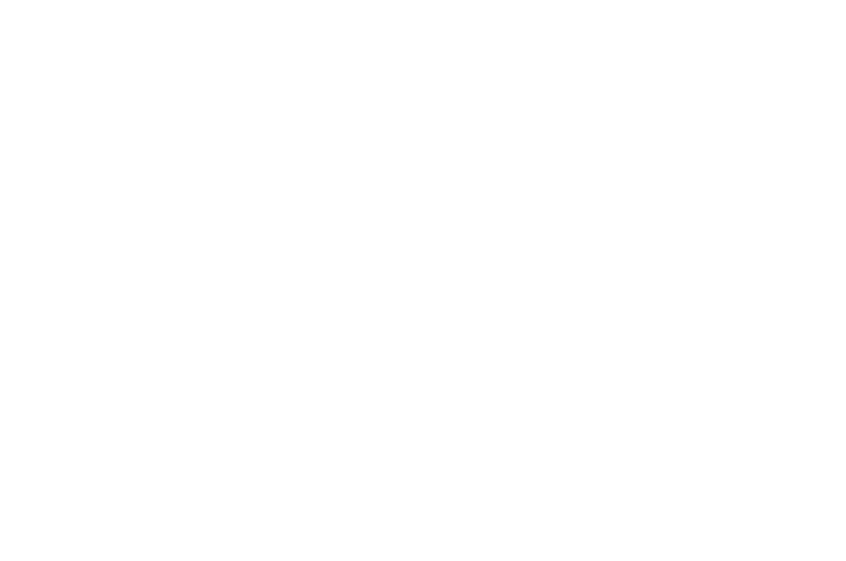 Award Toronto festival